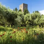 Torre Dei Belforti
