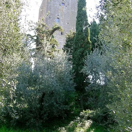 Torre Dei Belforti * Montecatini Val di Cecina