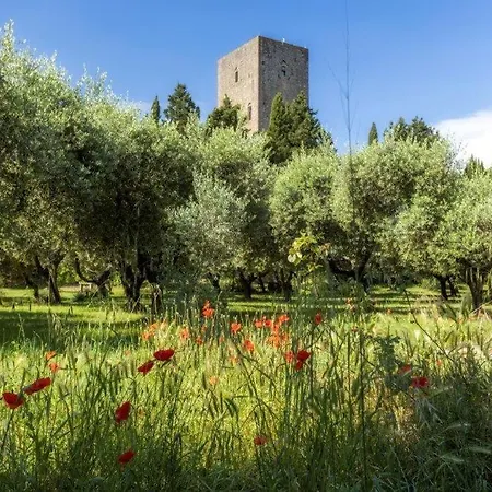 Torre Dei Belforti