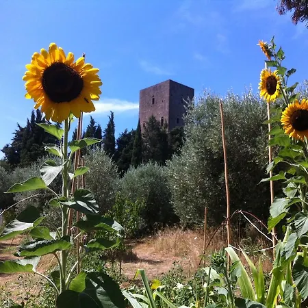 Torre Dei Belforti Montecatini Val di Cecina